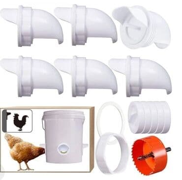 Çin, Bütün növ quşlaq üçün