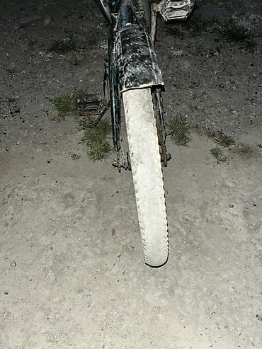 Elektrik velosipedlər: İki təkərli Uşaq velosipedi 20", sürətlərin sayı: 1 — 5