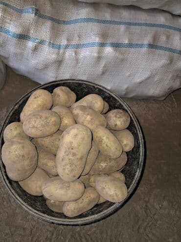 Мёд: Овощи — 3