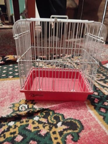 Digər heyvanlar: Tezeden secilmir — 1