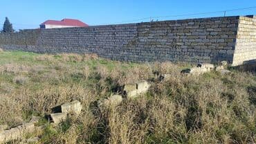 Mənzillər: Tikinti — 12