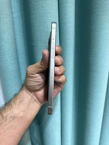 ronin kamera: IPhone 15 Pro Max, 256 GB, Gümüşü, Simsiz şarj, Face ID — 4