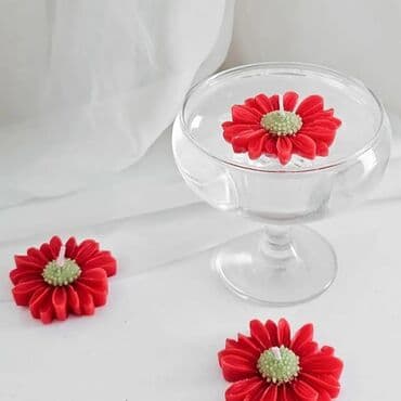 novruz şamı: Şam Dairəvi — 4