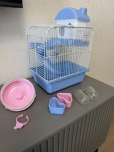 bala it: Kiçik gəmiricilər (hamster, siçança və s.) üçün uyğun, daxili yollar — 1