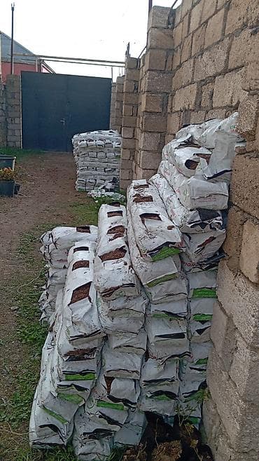 cənnətdən cicek: Məhsul: Torf/substrat dolu kisələr Təsvir: - Bağ, istixana və — 1