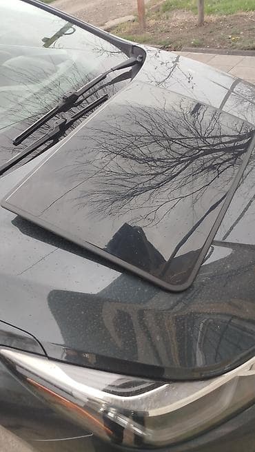 masin kuzasi: Lük, 1, 2026 il, Çin, Ünvandan götürmə — 5