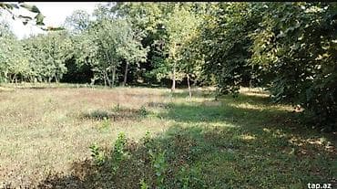 Otaqlar: Kənd təsərrüfatı — 3