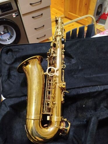 учебник по кыргызскому языку 10 класс абылаева: Qızılı rəngli alto saksofon – tam komplekt. Real alıcıya endirim — 1