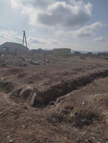 Biologiya: 45 sot, Tikinti, Maklerlər narahat etməsin, Kupça (Çıxarış), Bələdiyyə — 2