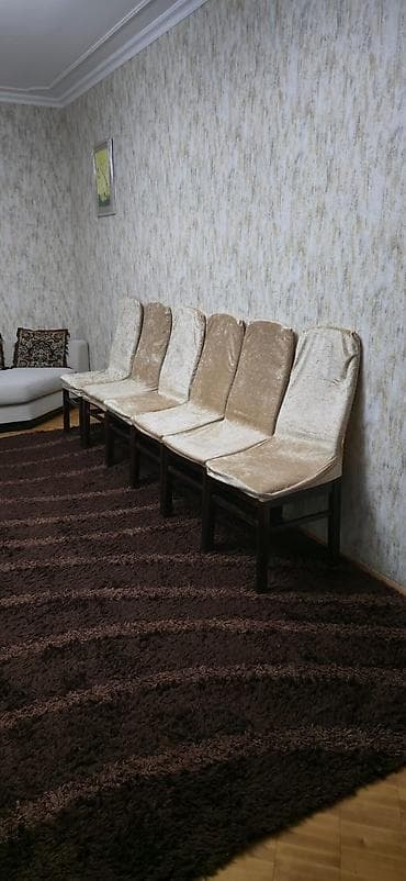 barnı stul: Mətbəx üçün, Qatlanmayan, Stul — 3