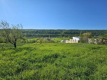 su satan yerler: 12 sot, Tikinti, Mülkiyyətçi, Kupça (Çıxarış) — 6