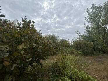 qubada torpaq satilir 2020: 110 sot, Tikinti — 10