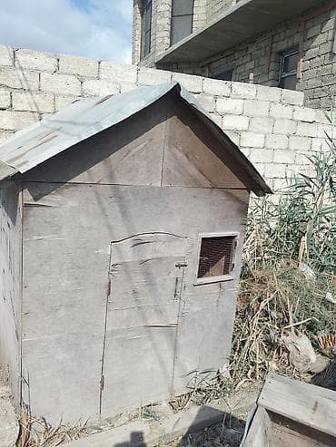 qus qefes: Taxta toyuq/broyler yuvası (mini tövlə) - Material: qalın faner — 5