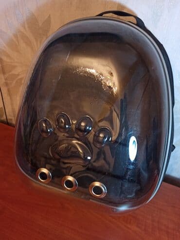 pişik daşıma cantası: Erkək, Dişi — 1