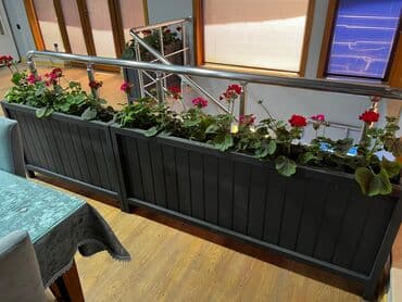 dekorativ otaq bitkiləri: Taxtalar ile ve, restoran, ofis, otel ve s. Məkanlarınızın müasir və — 1