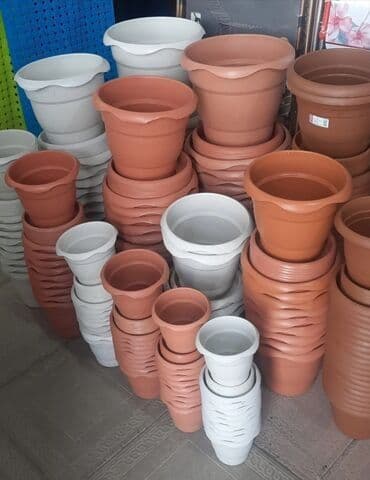 Digər bitkilər: Dibçək. Müxtəlif ölçü və modellər mövcuddur. Fərqli qiymətlərdədir — 6