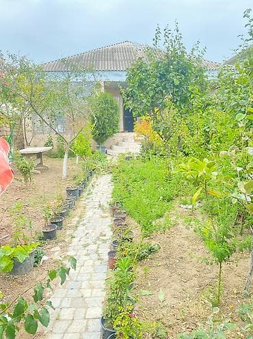 gencede satılan evler: Həyət evi Albalılıqda paket kupça 5sot 3 otaq real alıcıya endirim — 2