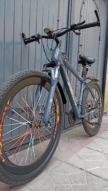 velesiped: 1 ay sürülüb, heç bir problemi yoxdur, skorusları işləyir, 29luqdu - — 1