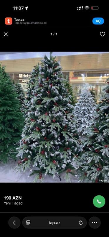 Qida məhsulları: Yolka satılır təzədir. 2.10 santi hündürlük. 50 metr işıq verilir — 1