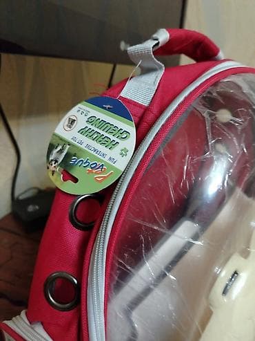 cantalar mekteb: Pişik Ücun çanta - Dizayn: Şəffaf ön panel və sevimli ayıcık fiquru — 2