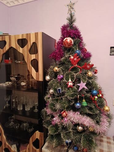 Yeni il agaci ışıqlı yeni kimidir üsdündə nə varsa hamisi 100 manat