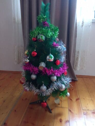 avokado ağacı: Yolkanın hundurluyu. 95 sm üstünde iqruşkalarla birlikdə bele — 6