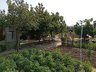 savalan torpag: Kənd təsərrüfatı — 4