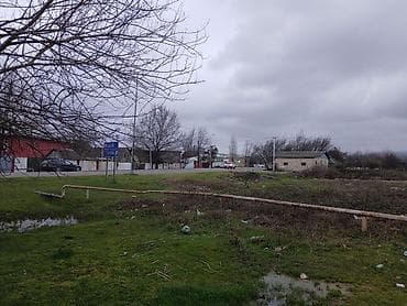 Otaqlar: 6 sot — 4