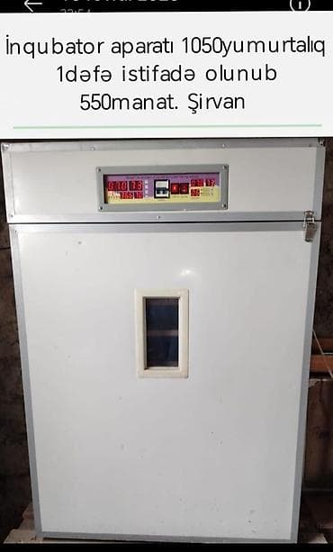 Kassa avadanlığı: 1100 yumurta, Tam avtomat — 1