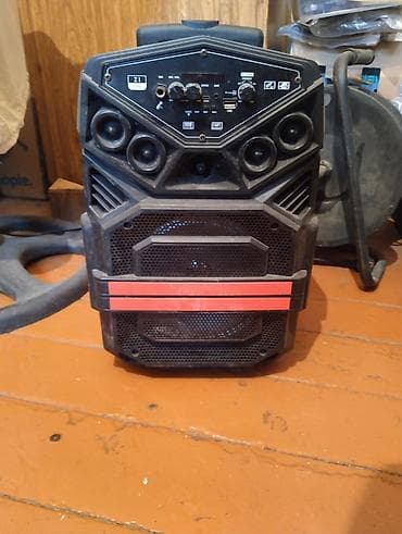 mp3 player qiymətləri: Daşınan karaoke səs sistemi – Z1 Zone Komplekt: - Akustik — 4