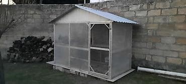 Salam. Hin almunum uqolniqdən yığılıb tam ideyal vəziyyətdədi üstü