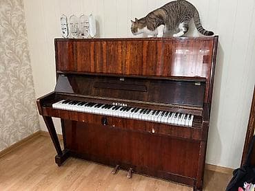 Pianino 100azn. Unvan Baki Yasamal r Əsəd Əhmədov 34//6627b//glr lalafo.az -da Pianino 100azn. Unvan Baki Yasamal r Əsəd Əhmədov 34//6627b//glr