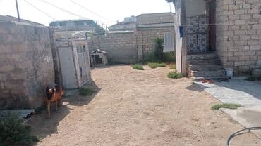 купить дачу в вишневке в баку: Баку, Бузовна, 100 м², 4 комнаты, Без бассейна, Артезианский колодец, Интернет, Газ — 10