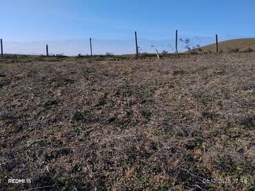 vasitəçisiz iki otaqlı mənzil kirayələmək: Kənd təsərrüfatı — 2