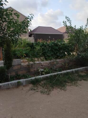 kirayə ev bine: Binə, 40 kv. m, 2 otaqlı, Qaz, İşıq, Su — 4