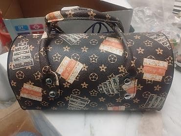 TTD-501 portativ “bag” tipli Bluetooth dinamik - Model: TTD-501 (Bass