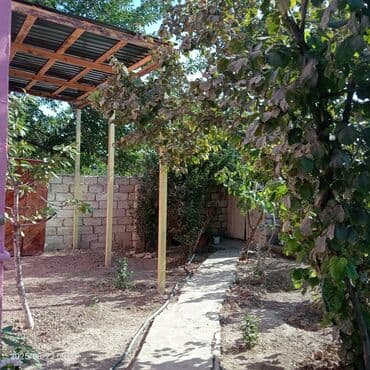 yaşıl dərə həyət evləri: 1 otaqlı həyət evi – bağ sahəsi ilə - Giriş: Həyətyanı sahəyə açılan — 12