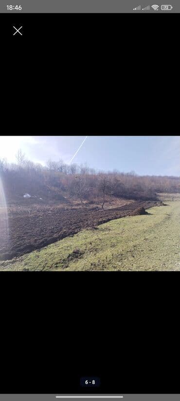 kirayə evlər gəncə 2023: Kənd təsərrüfatı, Kupça (Çıxarış) — 6