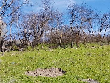 taxta satılır: Tikinti — 3