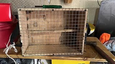 Taxta və torlu daşıma qəfəsi - Material: kontrplak gövdə və