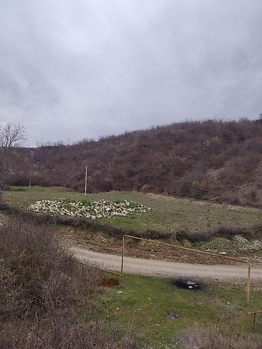 ipotekada olan menzillerin satisi: 14 соток, Для строительства, Возможен обмен, Бялядия (муниципалитет) — 5