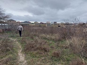 sumqayıtda: 22 sot, Kupça (Çıxarış) — 3