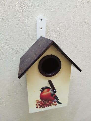 quş yuva: Quş yuvası Sağlam və uzunömürlü ekoloji təmiz . Səliqəli və zövqlü — 7