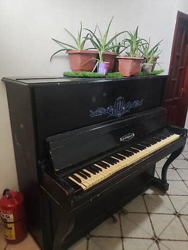 dicey aparatı: Piano, Belarus, Akustik, Ünvandan götürmə — 2