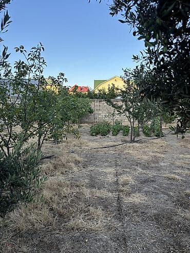 torpaq bakida: 5 sot, Tikinti, Mülkiyyətçi, Kupça (Çıxarış) — 3