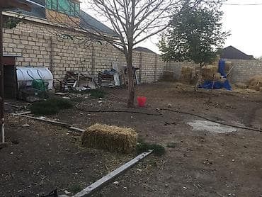 Biznes üçün avadanlıq: Quşçuluq təsərrüfatı və yardımçı yaşayış sahəsi - Geniş həyətyanı — 8