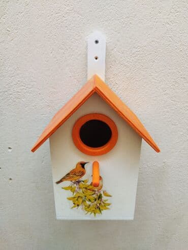 quş yuva: Quş yuvası Sağlam və uzunömürlü ekoloji təmiz . Səliqəli və zövqlü — 3