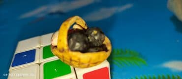 sərhədçi idman kompleksi yeni il şənliyi: Fiqur, Plastik, rəng - Sarı — 4