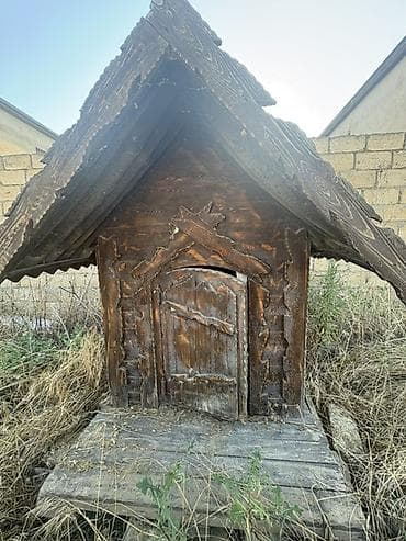 bulduk it: Taxta iti evi PROBLEM YOXDUR BİRAZ ÇIRKLIDI TEMİZLENME EHTIYAC VAR — 3