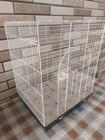 quş: Quşlar için böyuk qefes — 1